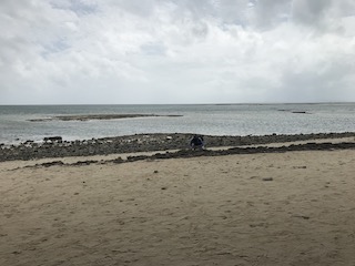 カイジ浜